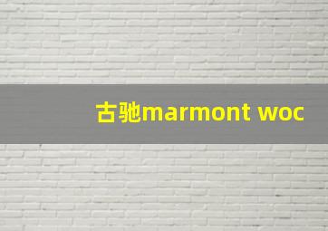 古驰marmont woc